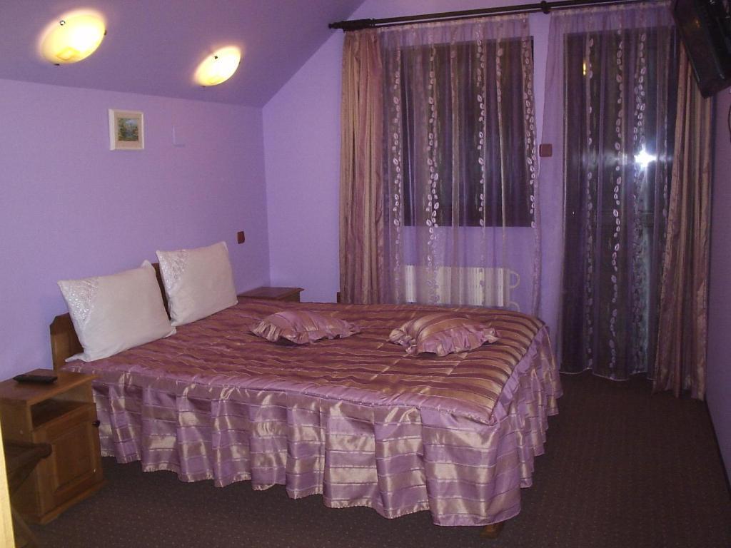 Pension Raluca Сіная Номер фото